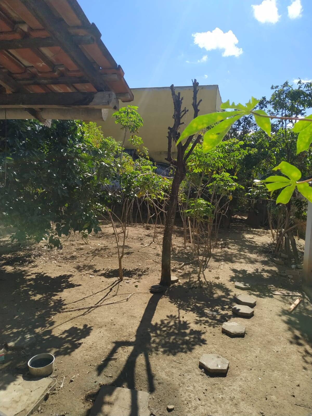 Casa à venda com 3 quartos - Foto 6