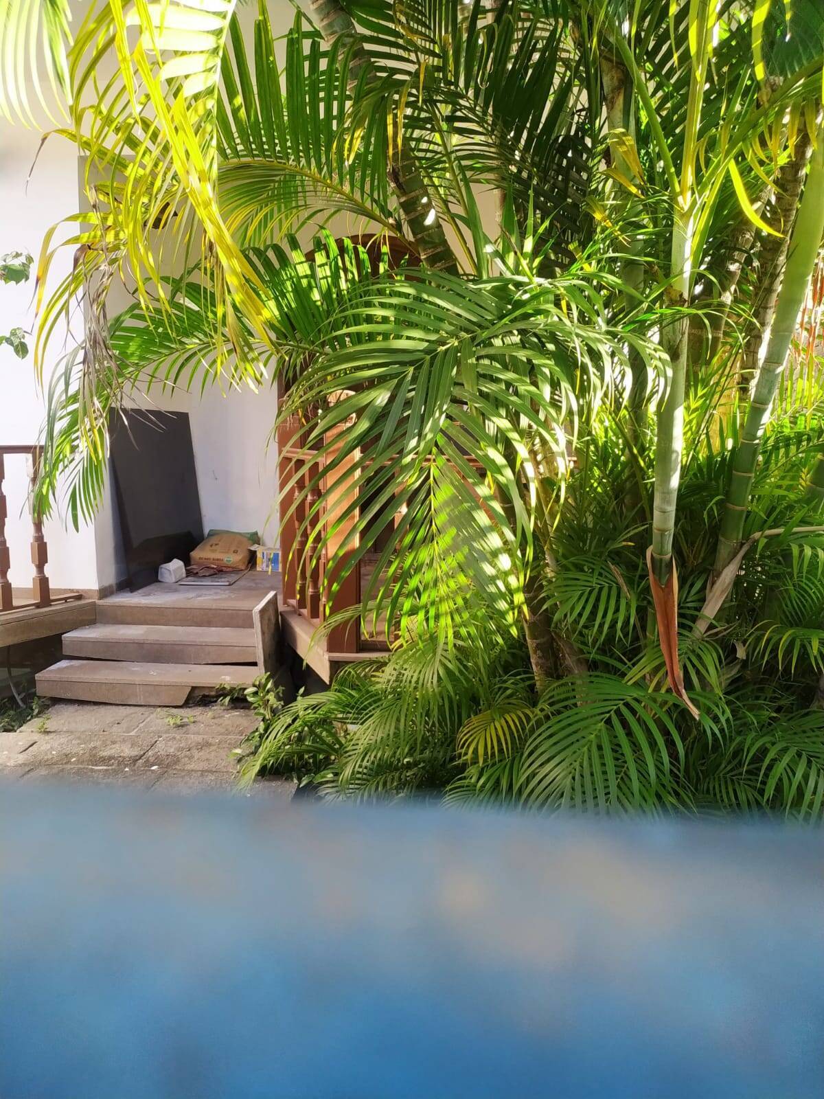 Casa à venda e aluguel com 3 quartos - Foto 3