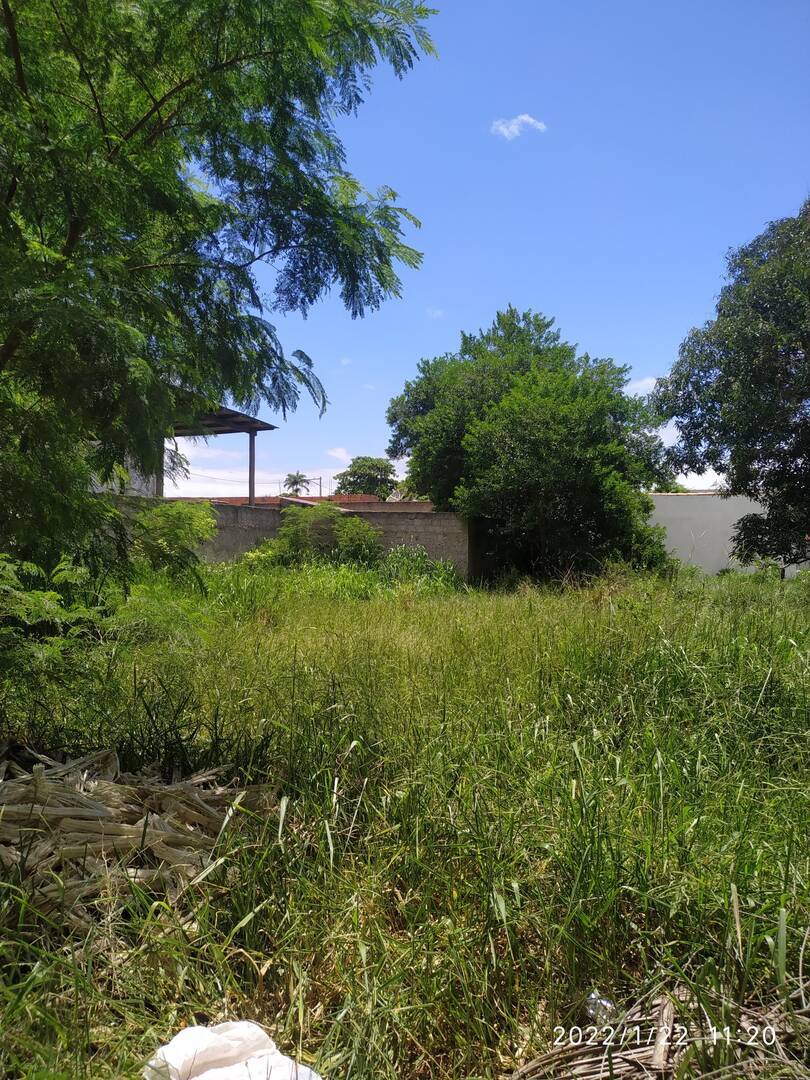 Terreno à venda - Foto 4