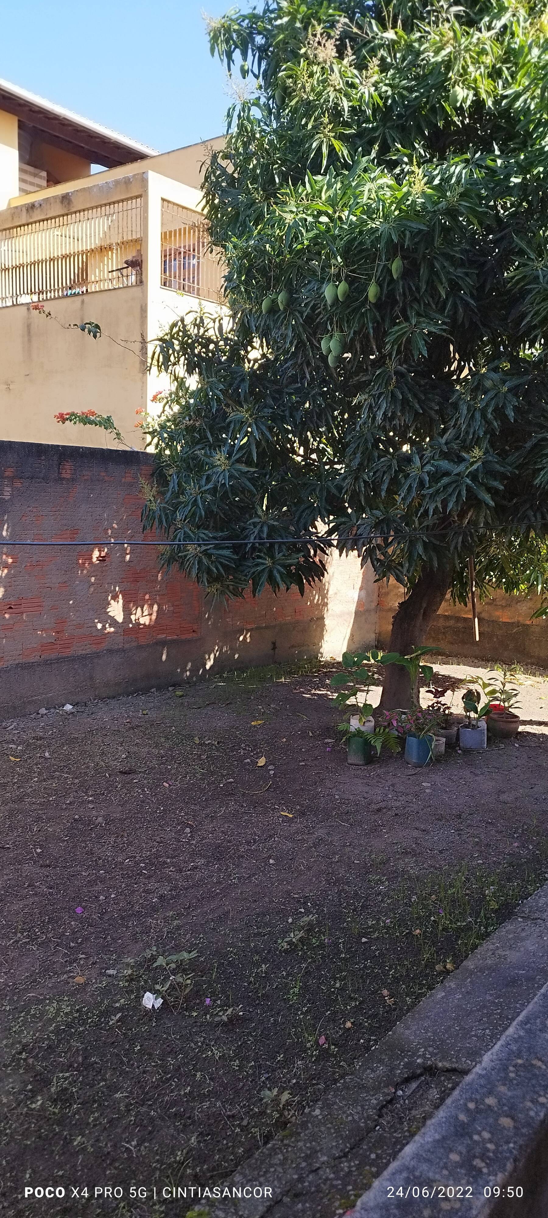 Casa à venda com 3 quartos - Foto 8