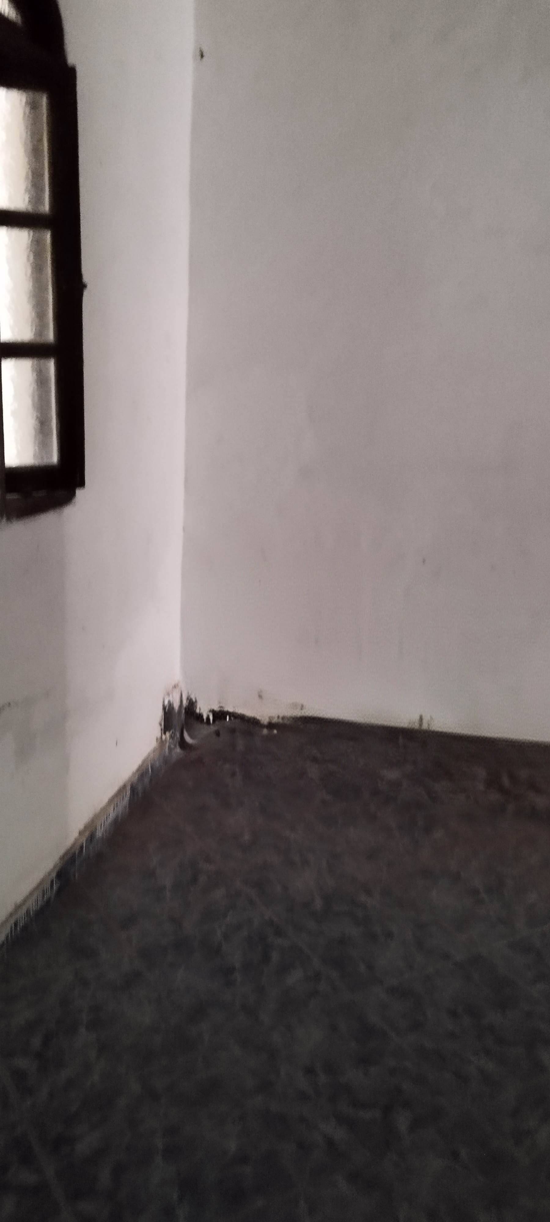 Casa, 2 quartos - Foto 8