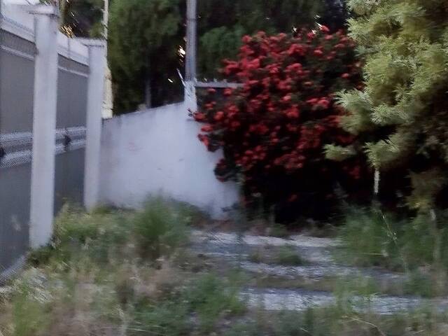 #219 - Casa para Locação em Campos dos Goytacazes - RJ - 3